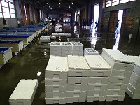 賀露支所の水揚げ状況
