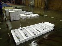 本日上場の全数