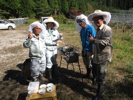 採蜜の様子