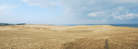 「馬の背」の風景－湿った砂と乾いた砂が入り混じっています