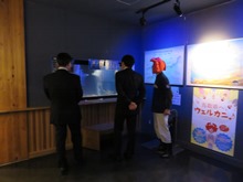視察2