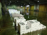 酒津支所～泊支所の水揚げ状況