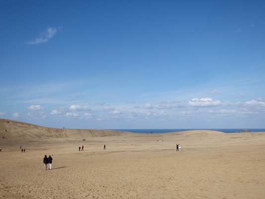 砂丘と海