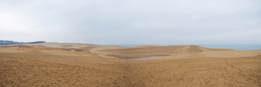 「馬の背」の風景－風もなく穏やかな朝です