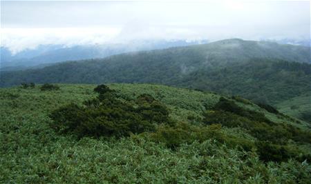 遠景