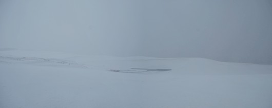 雪が降り続いています