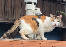 01