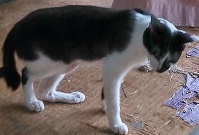 06