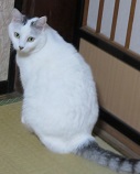 02