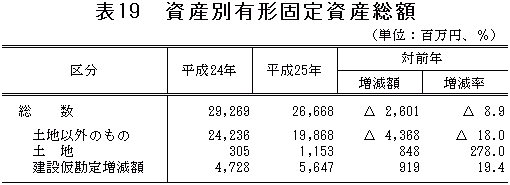 表19「資産別有形固定資産総額」