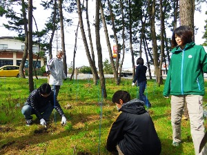 活動写真