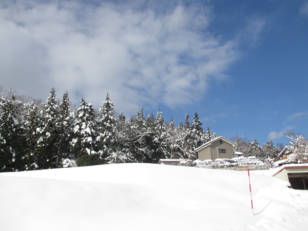 雪景色