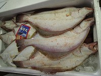 ソウハチ（いてがれい）