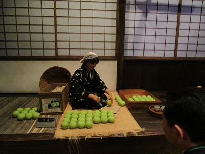 なしっこ館の館内の様子