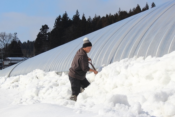 雪下ろし