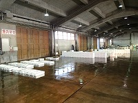 酒津～泊の水揚状況