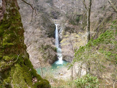 春の大山滝