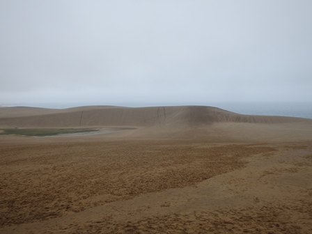 雨の砂丘