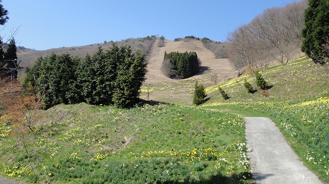 山頂方面を望む