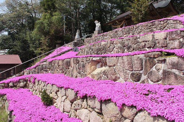 神社