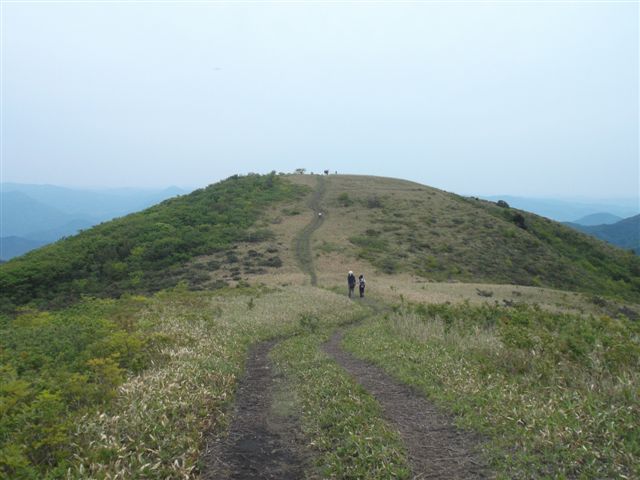 登山道