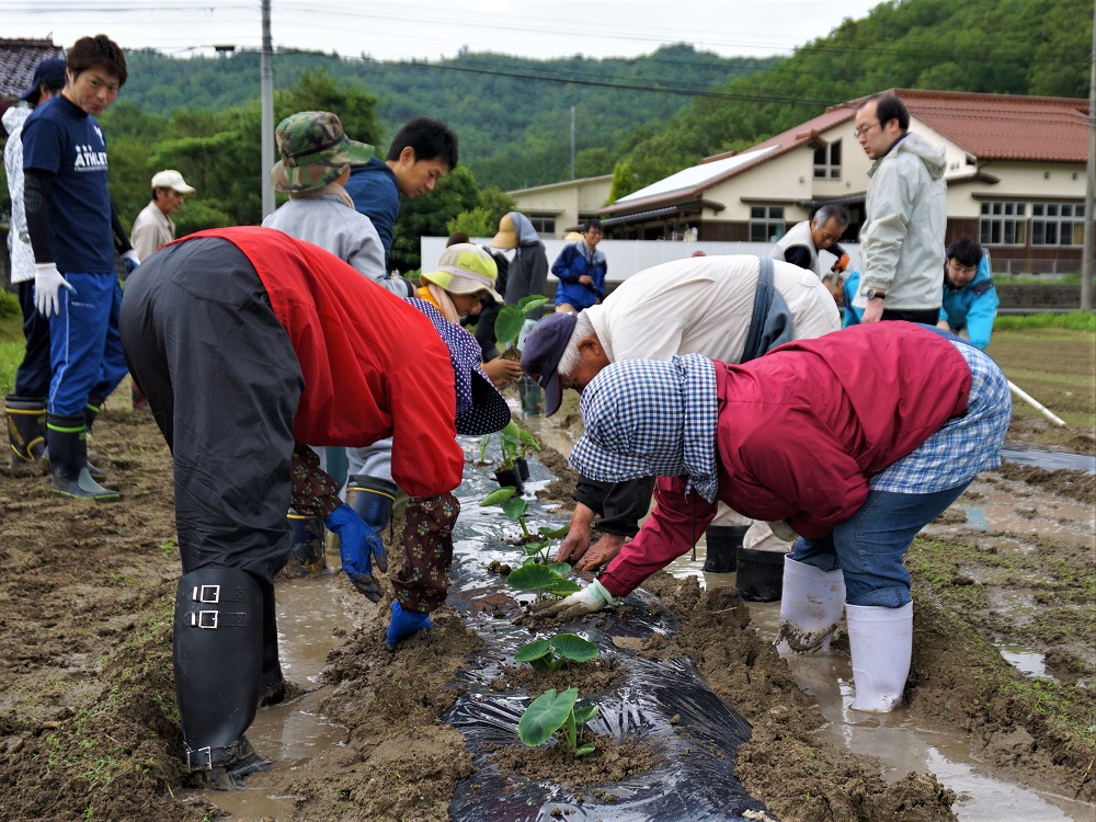 東郷地区の活動状況写真その3