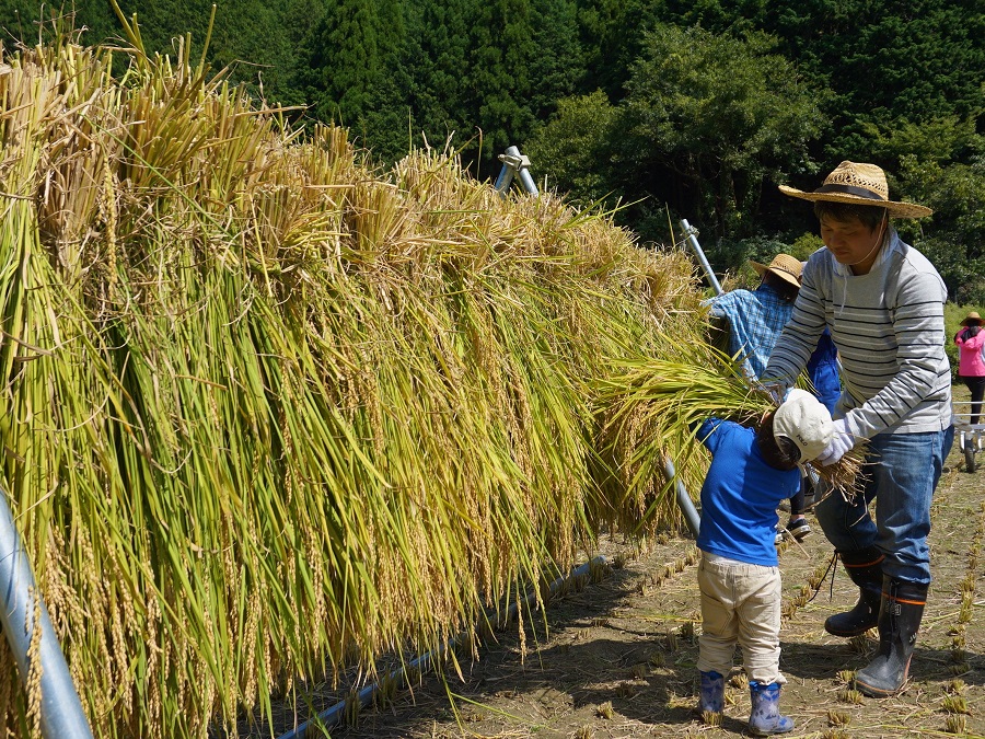 船岡地区の活動状況その5