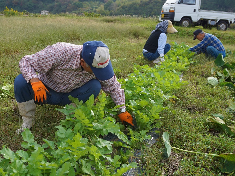 東郷地区の活動その5