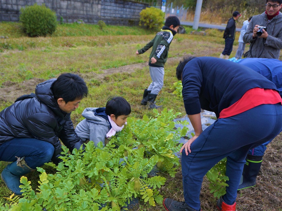 東郷地区の活動状況写真その５