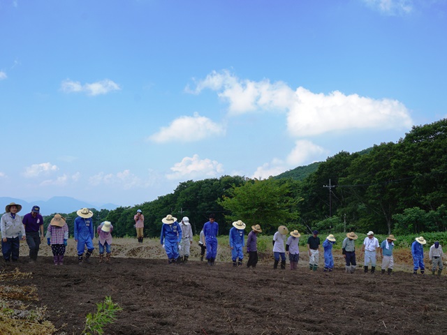 活動その６