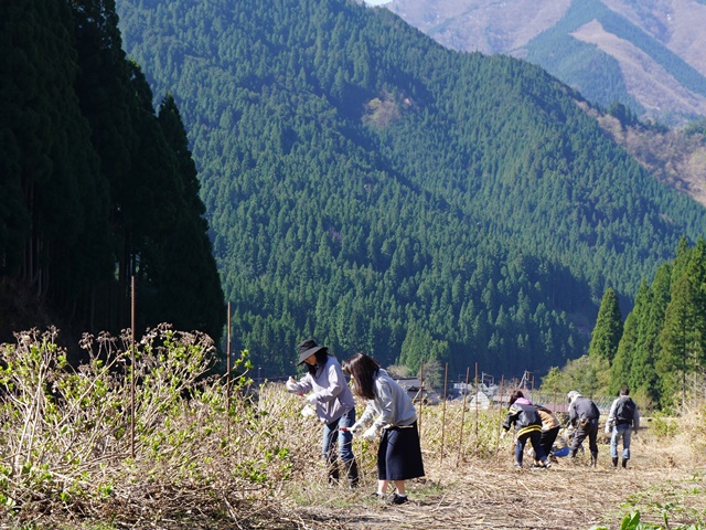 あじさい園の管理