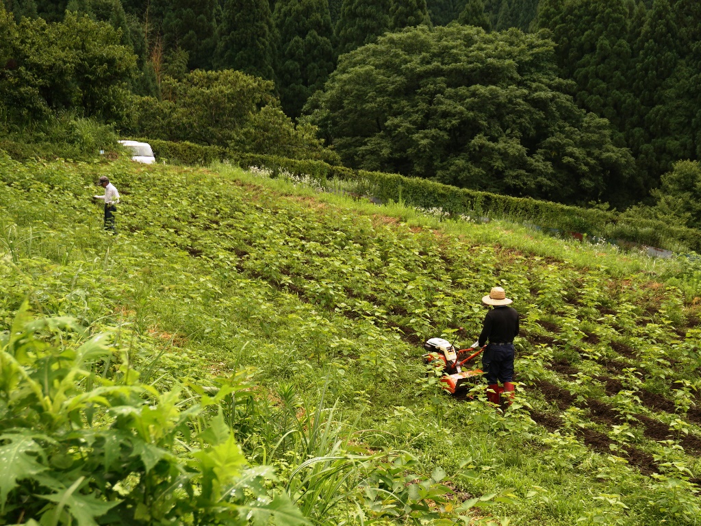 小船地区活動その9