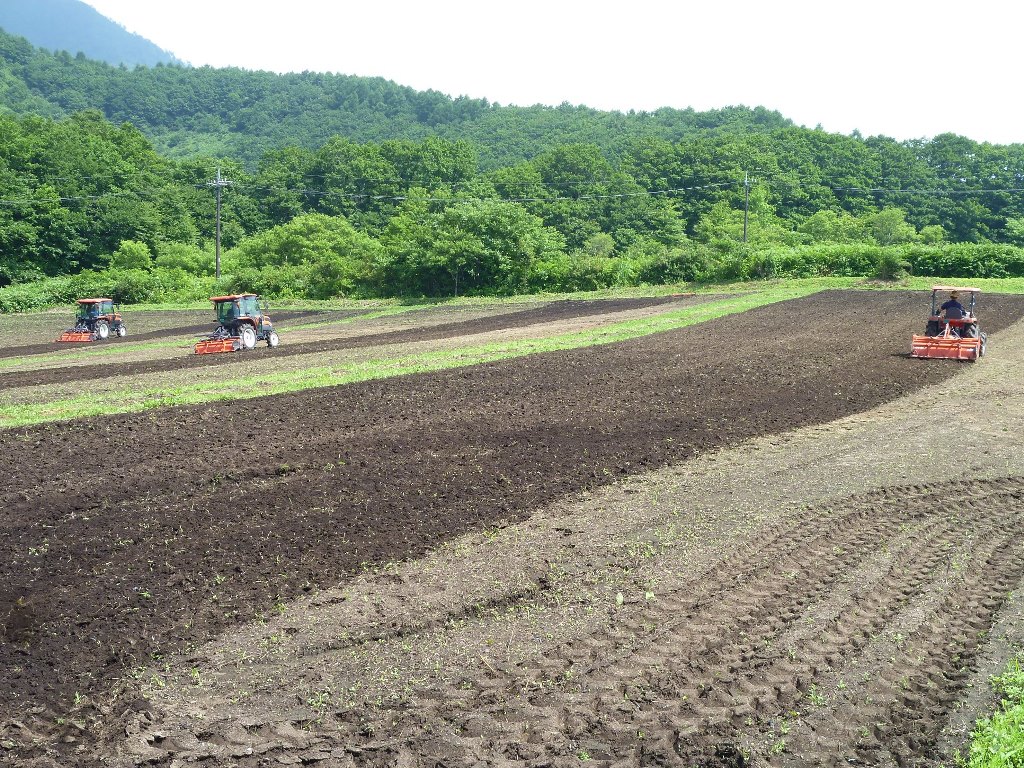 御机地区活動その8