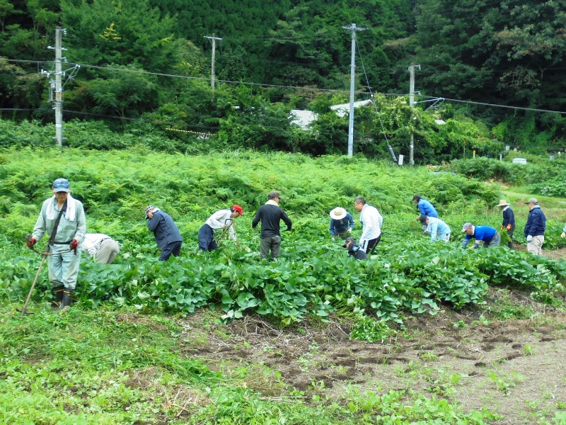 菅福地区活動その3