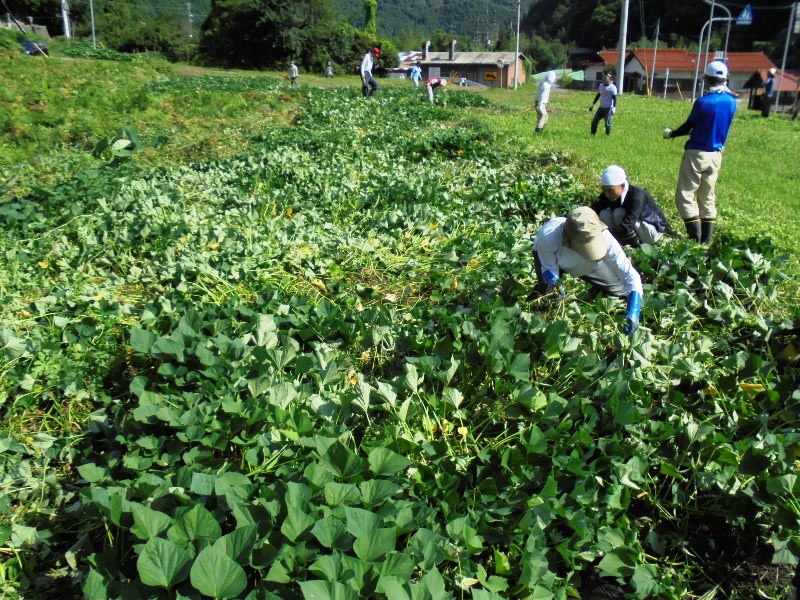 菅福地区活動その5