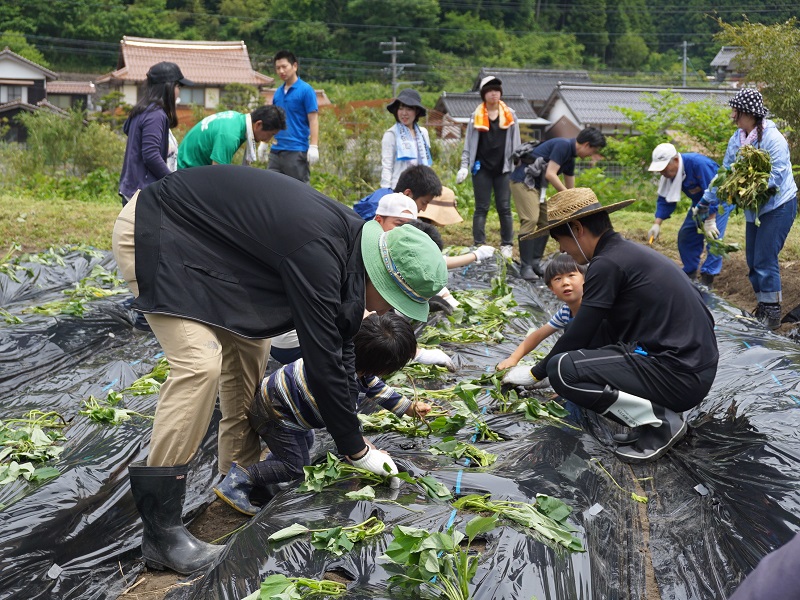 五月田地区の活動その5