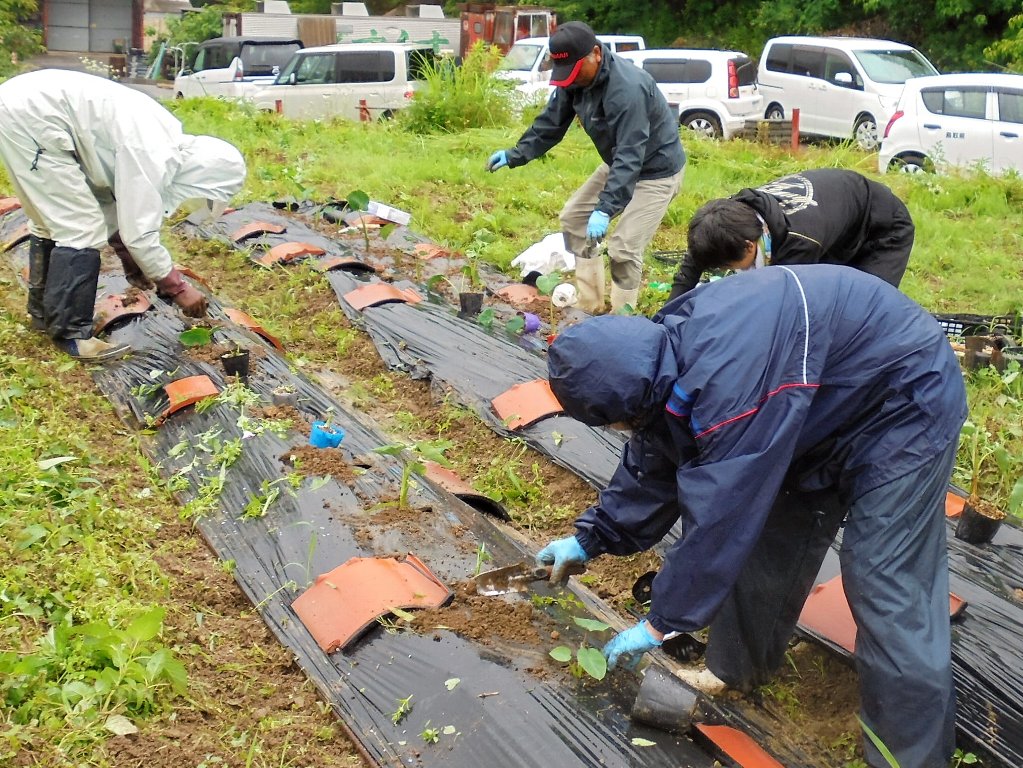 東郷地区の活動状況その３