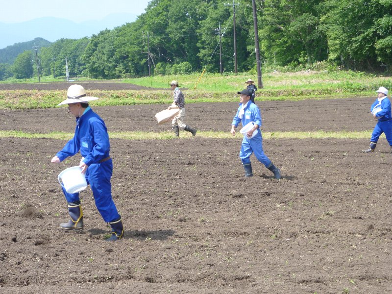 御机地区の活動その3