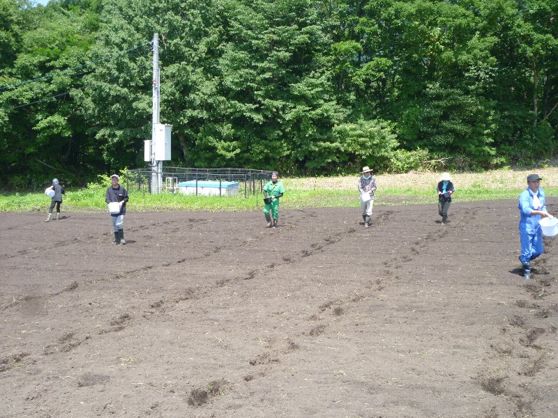 御机地区の活動その4