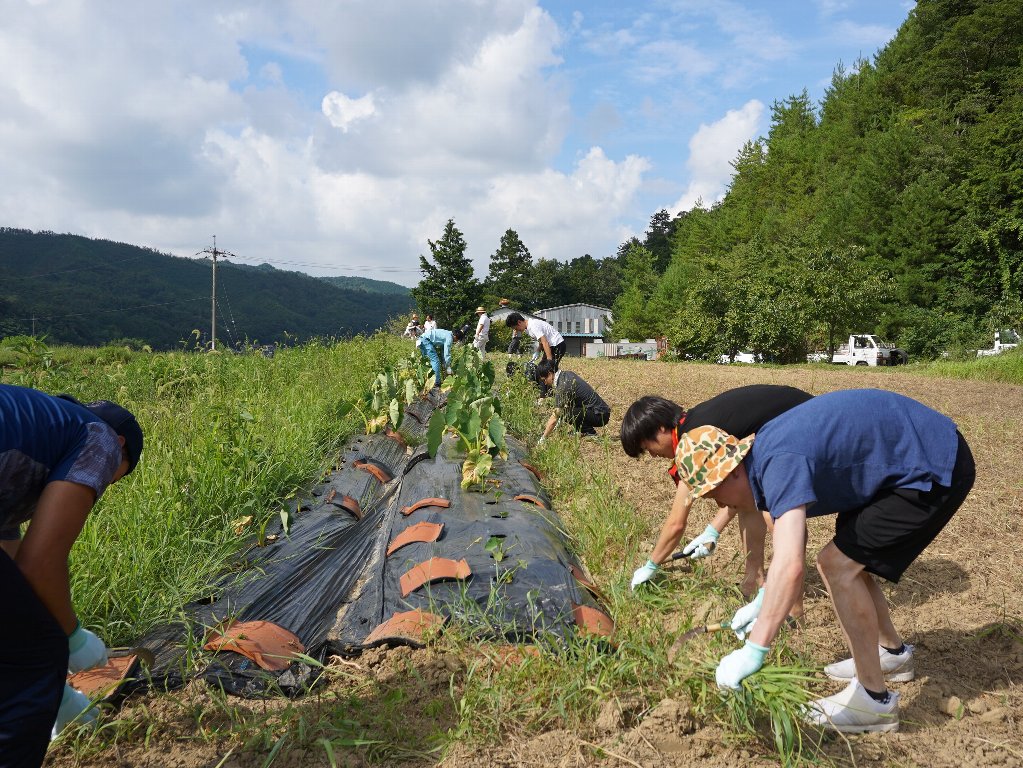 東郷地区の活動状況その1