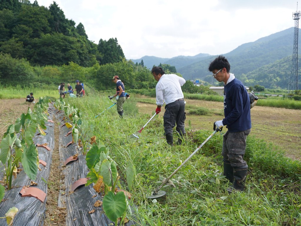 東郷地区の活動状況その3