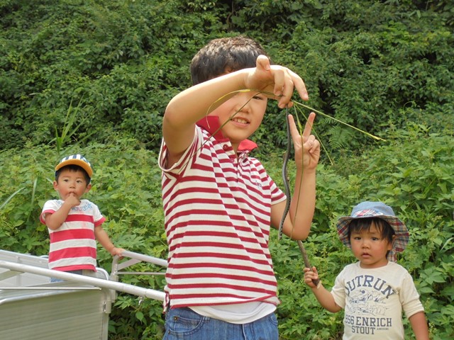 かわいいヘビさんの写真