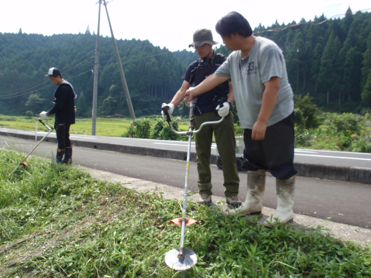 草刈作業の様子