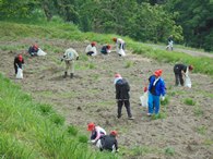 遊休農地の作業の様子その１