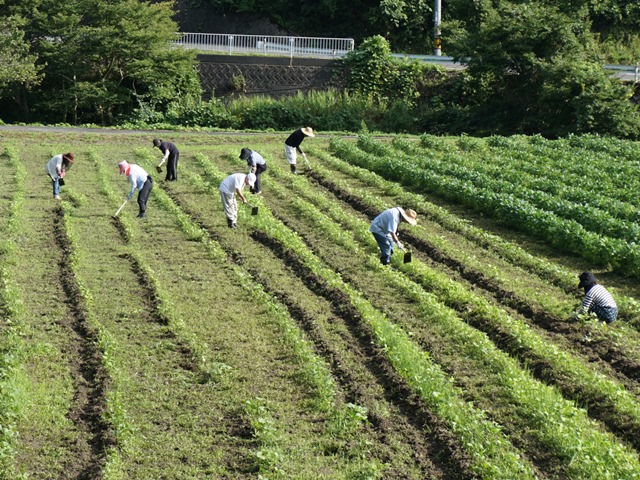 活動その３