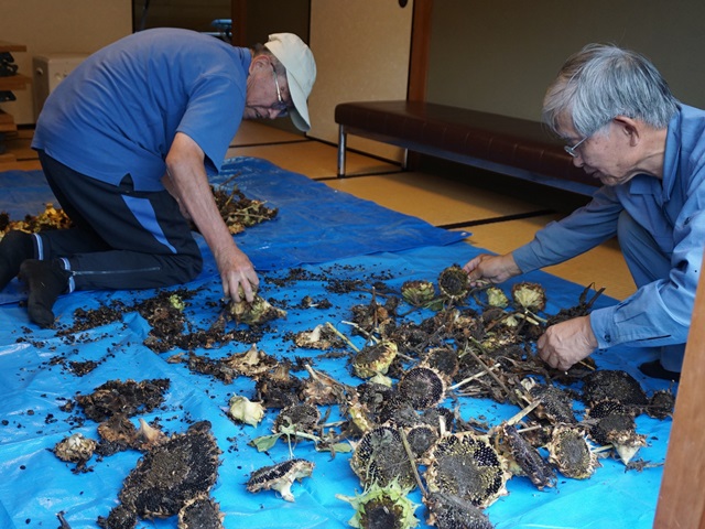 活動状況その６