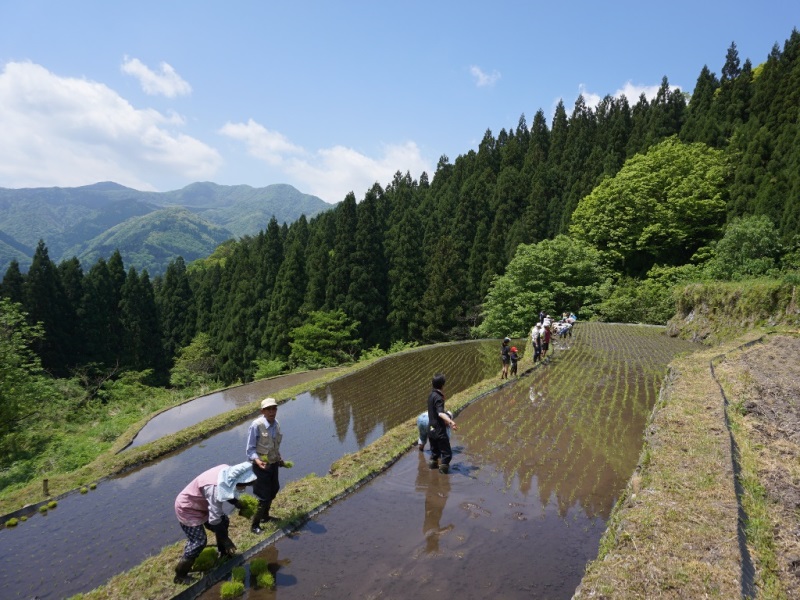 活動その４