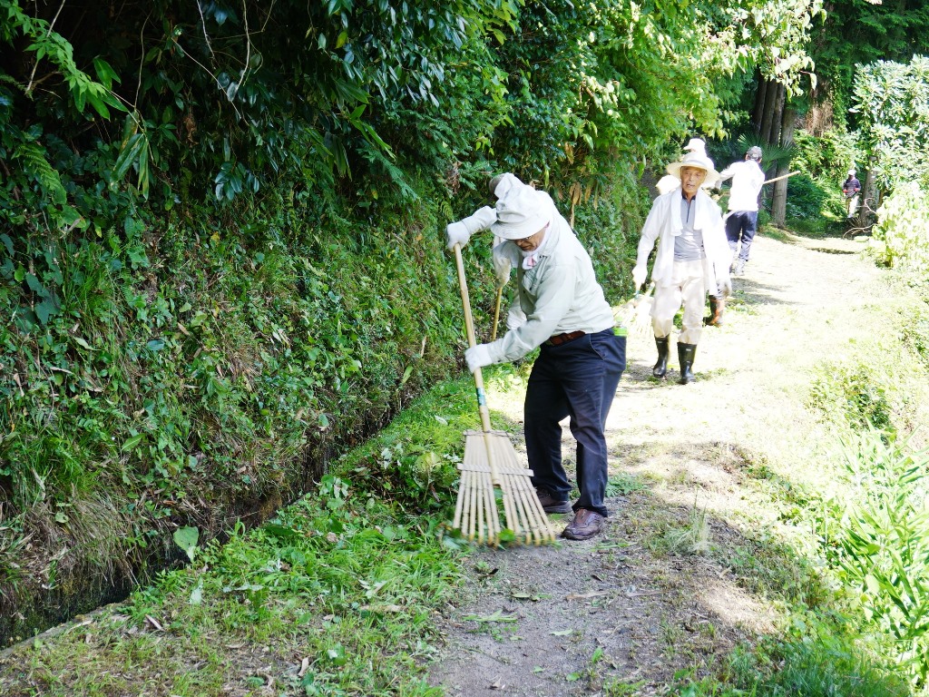 福園地区の活動その4