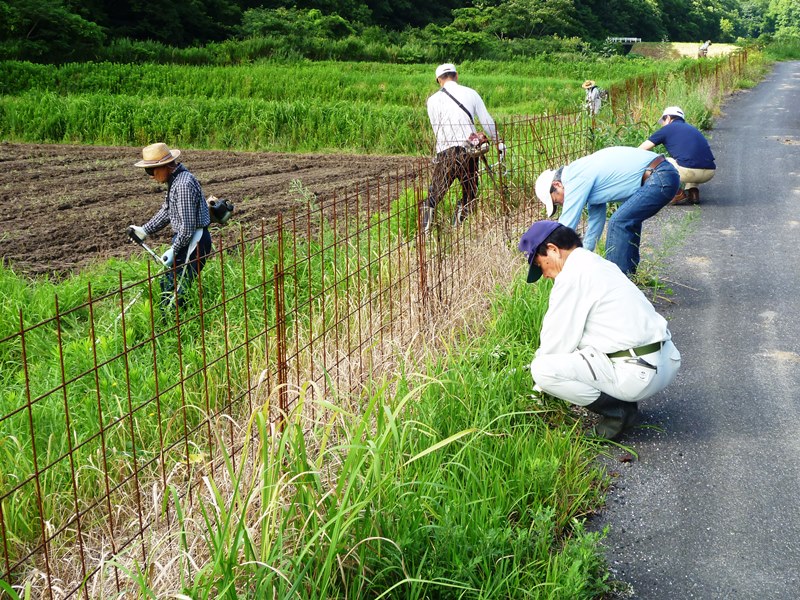 あいみ富有の里地区活動その1