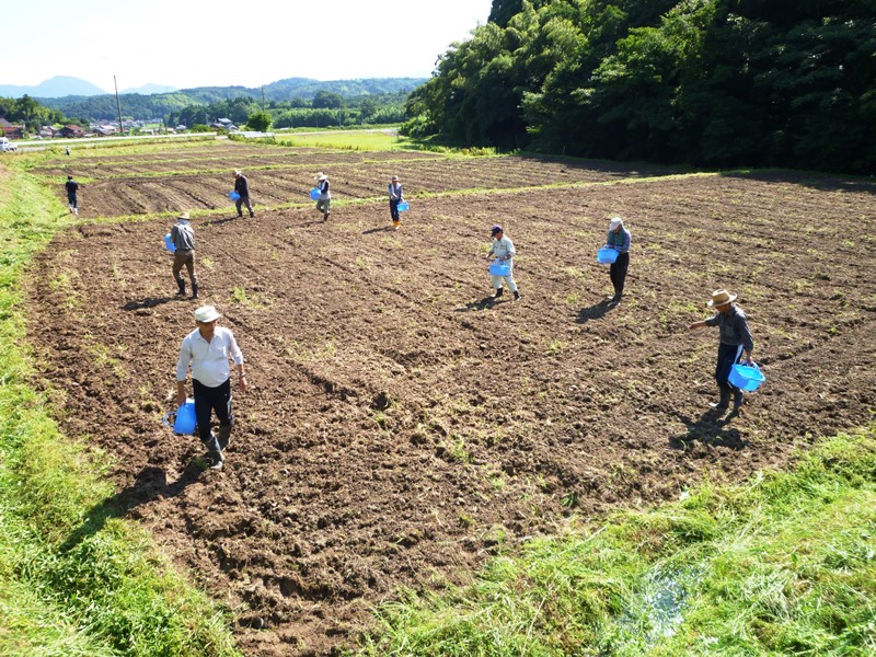 あいみ富有の里地区活動その7